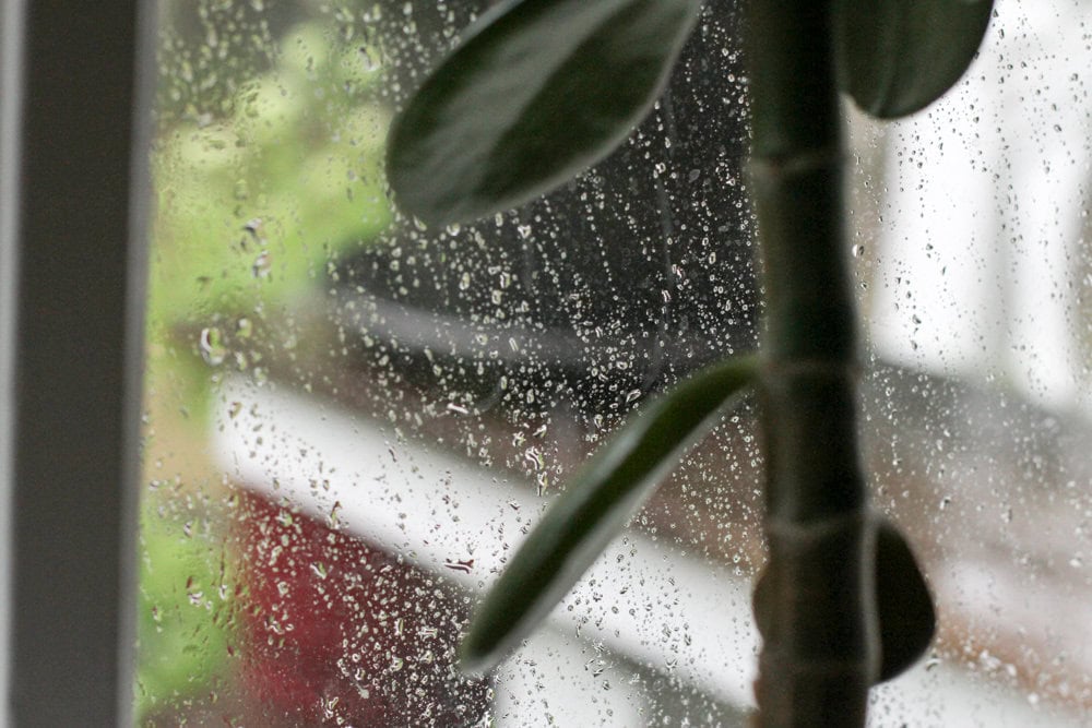 raindrops on a window.